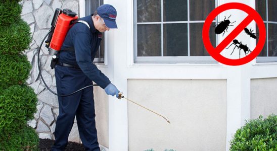 Tatvan Hamam Böceği İlaçlama böcek ilaçlama ve haşere kontrolü — ilaclama-tr.com